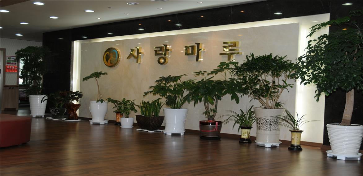 테스트이미지