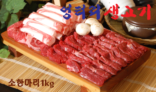 테스트이미지